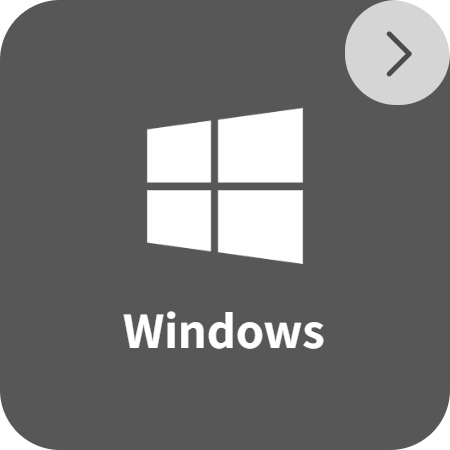 Windows 版